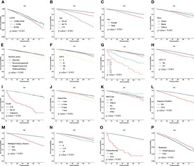 Log odds of negative lymph nodes/T stage ratio (LONT): A new prognostic tool for differentiated thyroid cancer without metastases in patients aged 55 and older